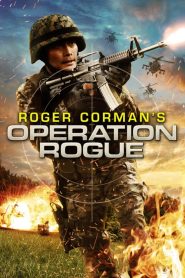 ดูหนังออนไลน์ฟรี Operation Rogue (2014) ยุทธการดับแผนการร้าย