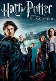 Harry-Potter-4-And-The-Goblet-Of-Fire-2005