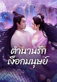 ดูหนังออนไลน์ฟรี ตำนานรักเงือกมนุษย์ Mermaid (2024)