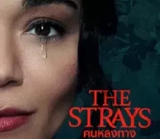 คนหลงทาง ( The Strays 2023 )